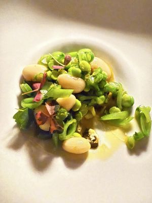 6 Restaurant - NYC by null