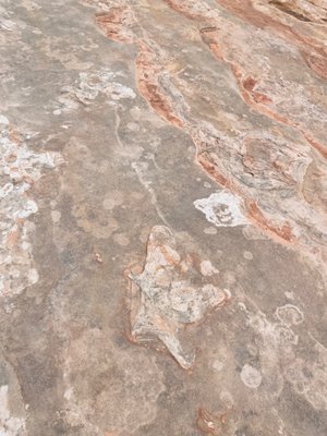 All Ways Adventure by null