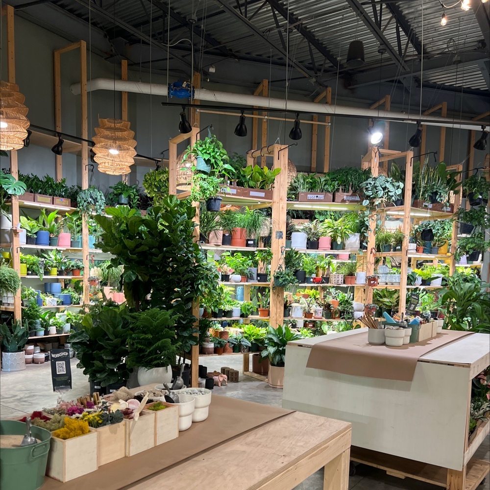 PlantHouse - Plant select and the terrarium work stations - Nurseries & Gardening Near Me - Charlotte, North Carolina