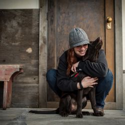 Someday Retrievers Dog Academy - Excellent Service Dog Program.  Diabetic Detection, PTSD, Autism.