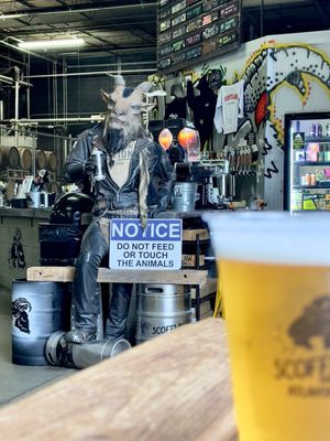 Scofflaw Brewing Co. by null