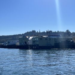 Arrow Tug - Sad sight of Buoy Brewery's collapsed roof