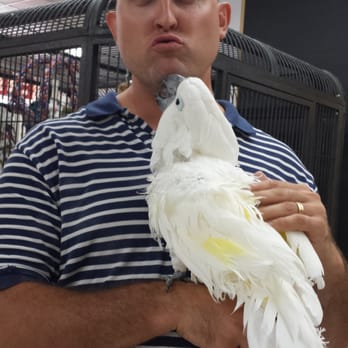 Arizona Bird Store - Only took 10 mins - Bird Shops Near Me - Mesa, Arizona Arizona Bird Store - Only took 10 mins - Bird Shops Near Me - Mesa, Arizona
