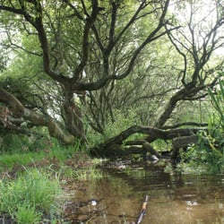 Kenfig National Nature Reserve