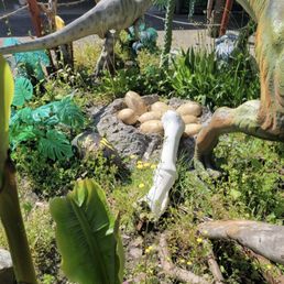 The dinosaur props and diorama makes Eastside Big Tom's all the more fun. I see dinosaur eggs!