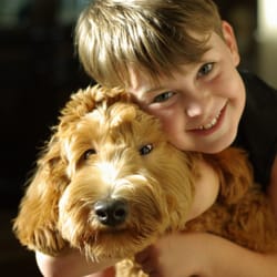 Line Leader Pediatric Therapy - George (the furry one) is on his way to earning his vest. Helping the children at Line Leader Pediatric Therapy would be his biggest joy.