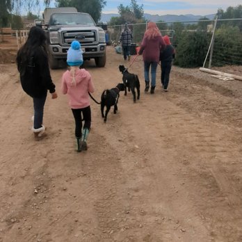Whitebrook Farm - Walking goats on a lead - Horseback Riding Near Me - Hemet, California