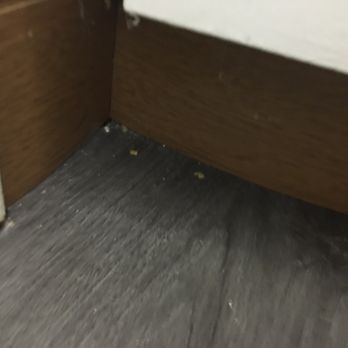 The Kinney - Yet again more dirt under every little crevice of the room. - Hotels Near Me - Venice, California