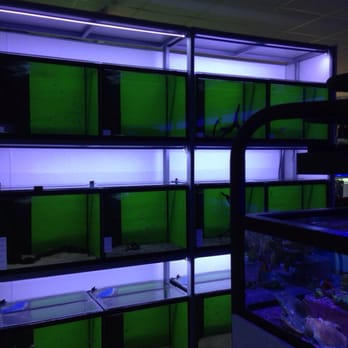 Aquarium Design Group - Aquarium Services Near Me - Houston, Texas