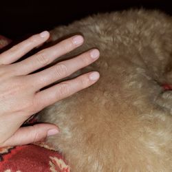 Nurse's Manicure, Gel 01-17-2025
