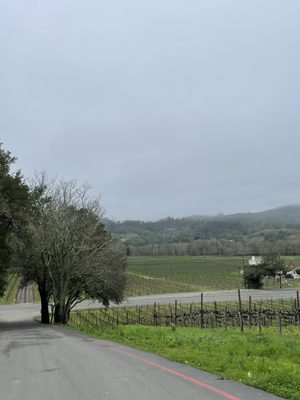Papapietro Perry Winery by null