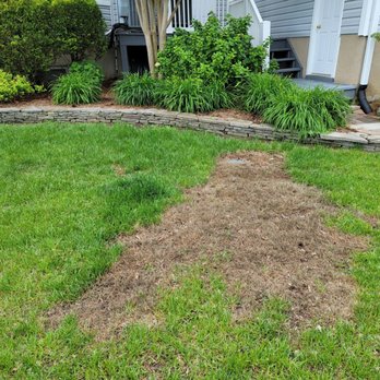 Weed Man - Pest Control Near Me - Annapolis, Maryland Weed Man - Pest Control Near Me - Annapolis, Maryland