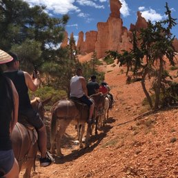 Along the trail, taking in the breathtaking views Along the trail, taking in the breathtaking views