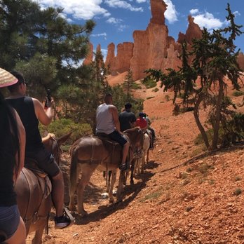 Canyon Trail Rides - Along the trail, taking in the breathtaking views - Horseback Riding Near Me - Tropic, Utah Canyon Trail Rides - Along the trail, taking in the breathtaking views - Horseback Riding Near Me - Tropic, Utah