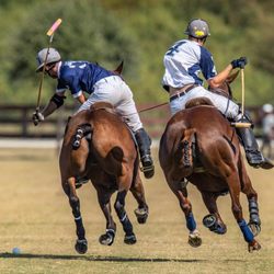 Lakeshore Polo Academy