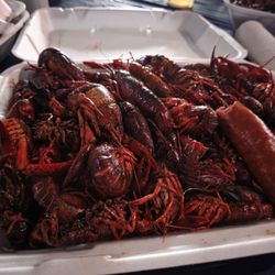 Ford Park - Crawfish boil featuring Eli Young Band
