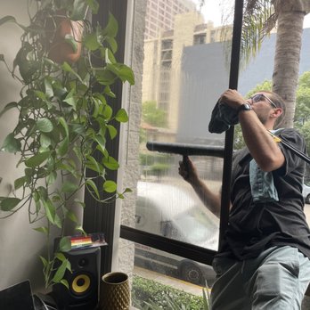I Clean Windows - Colt hanging out my window for the job - Window Washing Near Me I Clean Windows - Colt hanging out my window for the job - Window Washing Near Me