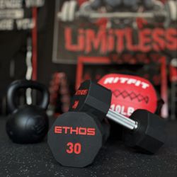 Landon Andrew Fitness