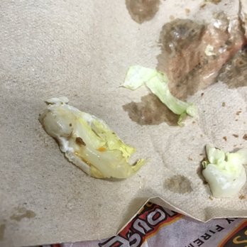 Firehouse Subs - Not cool, bad part of head lettuce - Sandwiches Near Me - San Jose, California Firehouse Subs - Not cool, bad part of head lettuce - Sandwiches Near Me - San Jose, California