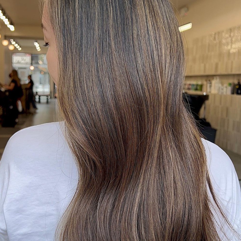 Little Lion Salon - Hair Salons Near Me - Brooklyn, New York Little Lion Salon - Hair Salons Near Me - Brooklyn, New York