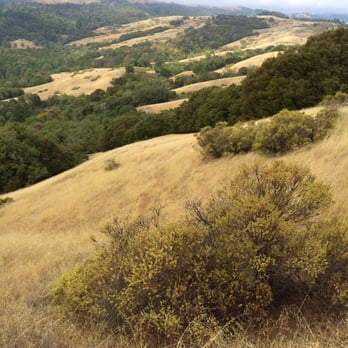 Monte Bello Open Space Preserve - Hiking Near Me - Palo Alto, California Monte Bello Open Space Preserve - Hiking Near Me - Palo Alto, California