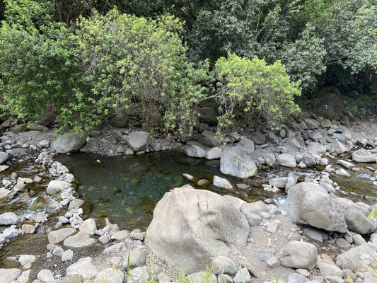 ʻĪao Valley State Monument by null