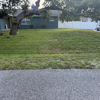 Bogran Landscaping - Lawn Services Near Me - Nokomis, Florida Bogran Landscaping - Lawn Services Near Me - Nokomis, Florida