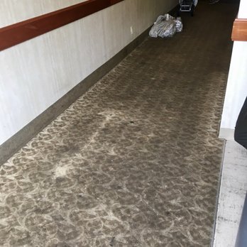 Everclean - Carpet Cleaning Near Me - Commack, New York Everclean - Carpet Cleaning Near Me - Commack, New York