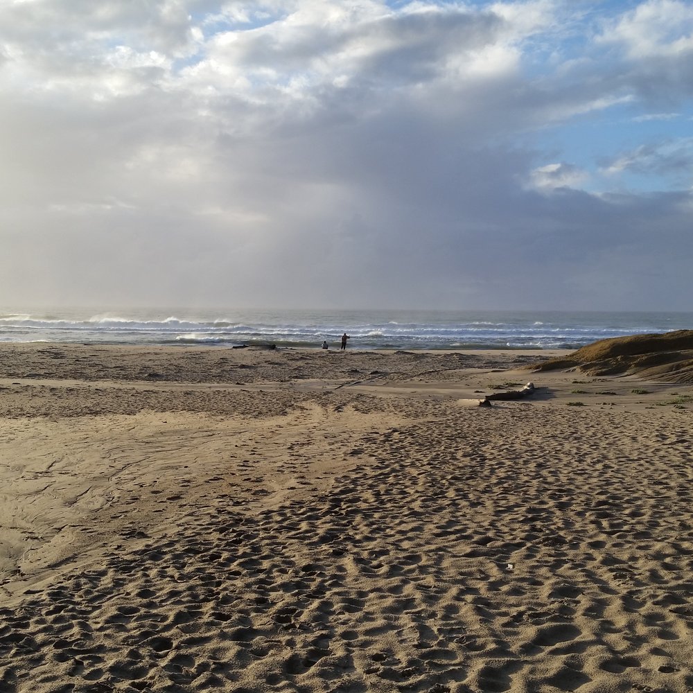 San Gregorio State Beach - Beautiful beach. 12-14 - Beaches Near Me - San Gregorio, California San Gregorio State Beach - Beautiful beach. 12-14 - Beaches Near Me - San Gregorio, California