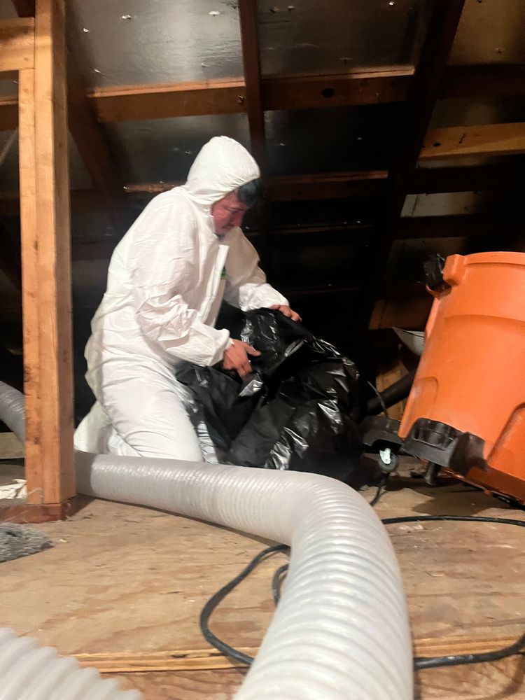 Slide of Anderson Restoration