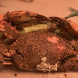 Vince's Crab House - Dundalk