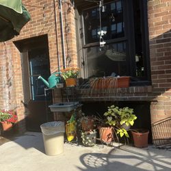 Luminary Coffeehouse - Outside patio