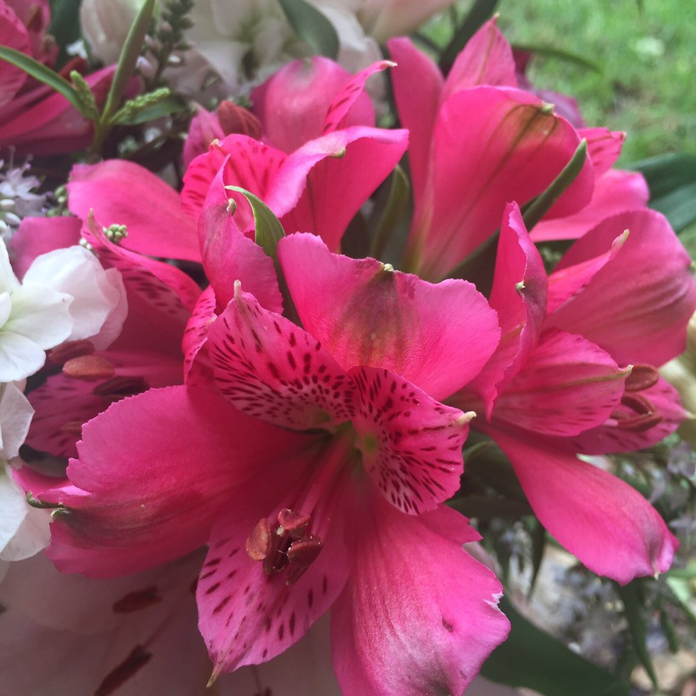 Burnside Village Flowers - Perfect flowers that stayed fresh for ages! - Florists Near Me - Glenside, SA