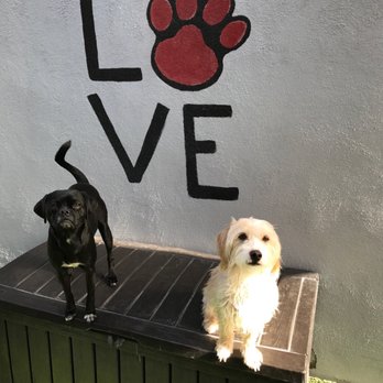 Paw In Order - Pet Sitting Near Me - Orange, California