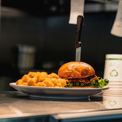 Fresh Crispy Chicken Sandwich
