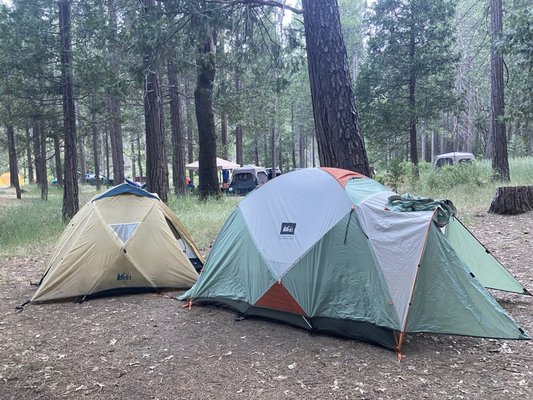 Wawona Campground by null