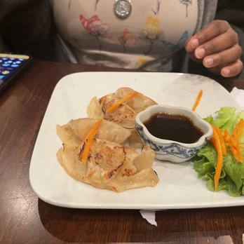 Thai Oishi Restaurant - Dumplings - Sushi Bars Near Me - Lakeland, Florida Thai Oishi Restaurant - Dumplings - Sushi Bars Near Me - Lakeland, Florida