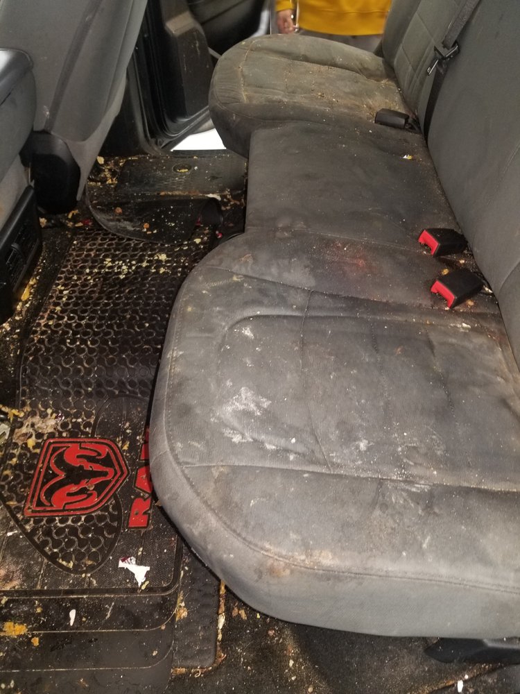 NORTHERN DETAILING Updated September 2024 18 Photos 2682 Garfield Rd N, Traverse City