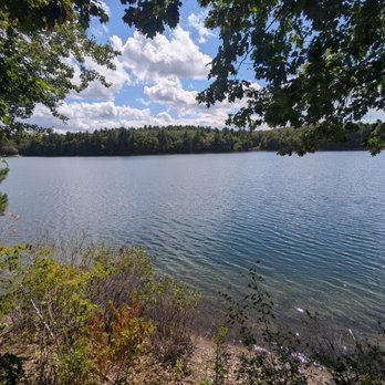 Walden Pond State Reservation - Parks Near Me - Concord, Massachusetts