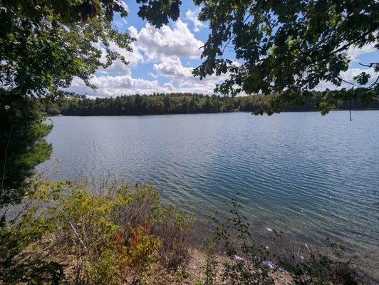 Walden Pond State Reservation by null