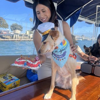 PJ's Pet Cafe - Cake time - Pet Stores Near Me - Long Beach, California
