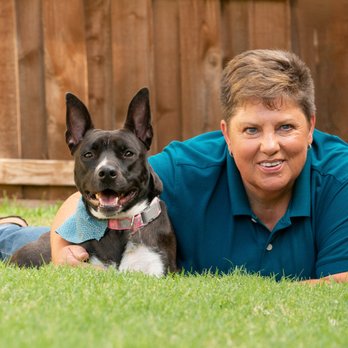 Roxie's Pet Sitting - Pet Sitter & Dog Walker, Regina with one of her pack dogs, Gryffin. - Pet Sitting Near Me