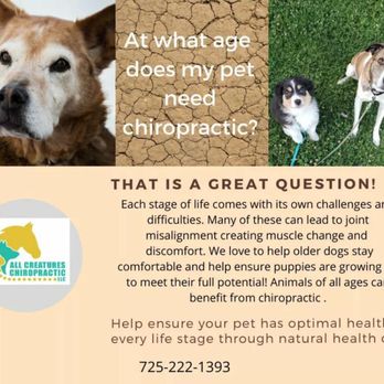 All Creatures Chiropractic, LLC - Holistic Animal Care Near Me All Creatures Chiropractic, LLC - Holistic Animal Care Near Me