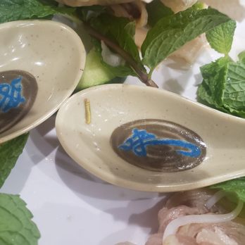 Pho So 1 - Bug in my food - Vietnamese Near Me - Van Nuys, California Pho So 1 - Bug in my food - Vietnamese Near Me - Van Nuys, California