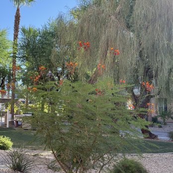 Marriott's Shadow Ridge II- The Enclaves - View from the patio - Hotels Near Me - Palm Desert, California Marriott's Shadow Ridge II- The Enclaves - View from the patio - Hotels Near Me - Palm Desert, California