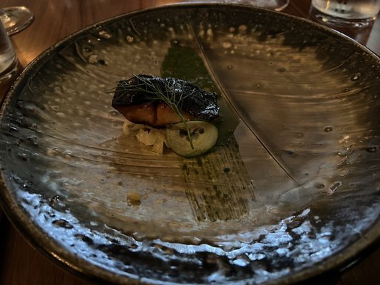 The Painted Lady by null