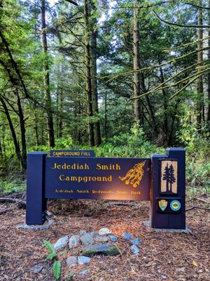 Jedediah Smith Redwoods State Park by null