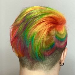 St Cyr by Carbonneau - Vivids done by master stylist sarajane !