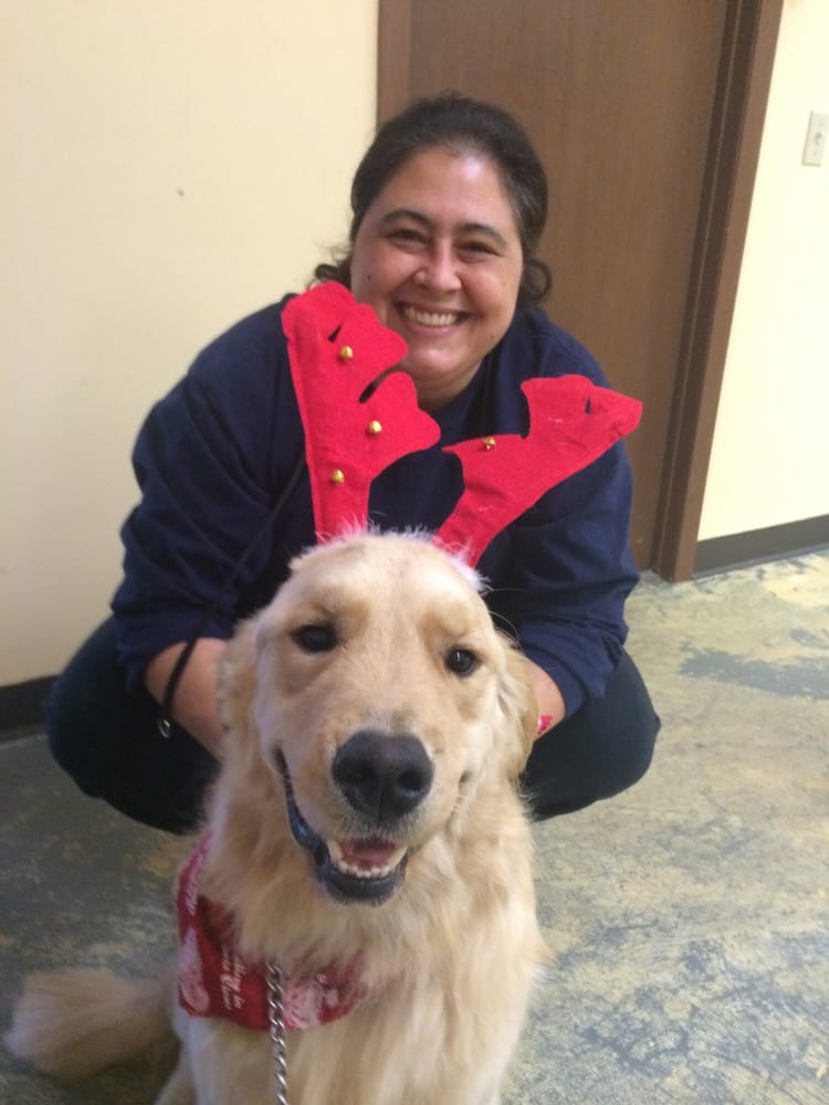 PAIGE’S PAW SPA Updated October 2024 12 Reviews 2039 36th St NE