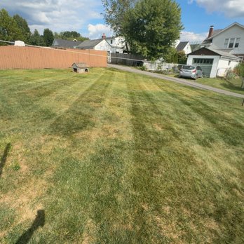 Grass Gurus Lawncare - Lawn Services Near Me - Morgantown, West Virginia Grass Gurus Lawncare - Lawn Services Near Me - Morgantown, West Virginia